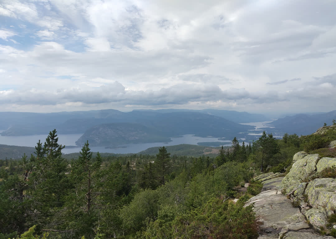 Udsigt over fjord og skov fra Vrådal, Norge, fotograferet i 2025
